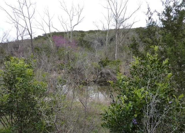 17032  Scenic Loop Road