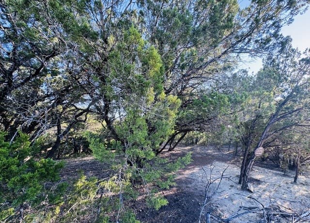 LOT 32  Firefly, Bandera, TX 78003 — photo 13