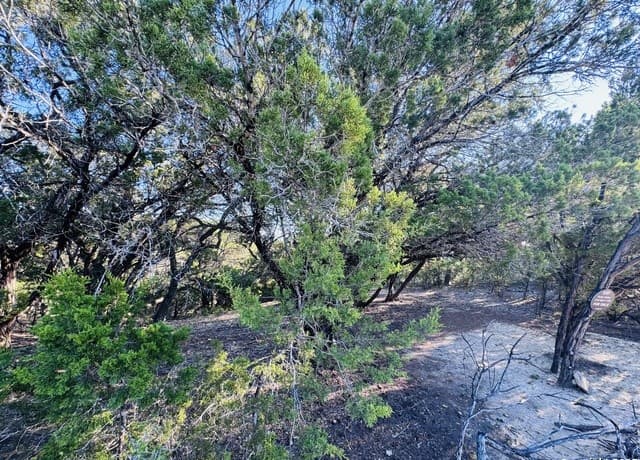 LOT 32  Firefly, Bandera, TX 78003 — photo 14