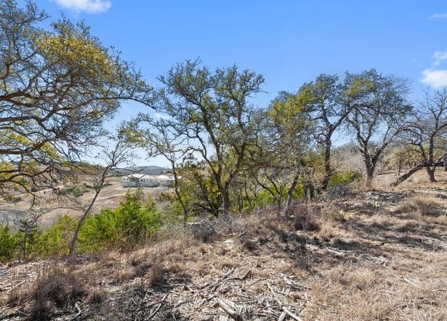 LOT 116  Majestic Hills, Blanco, TX 78606 — photo 5
