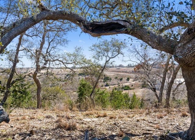 LOT 116  Majestic Hills, Blanco, TX 78606 — photo 7