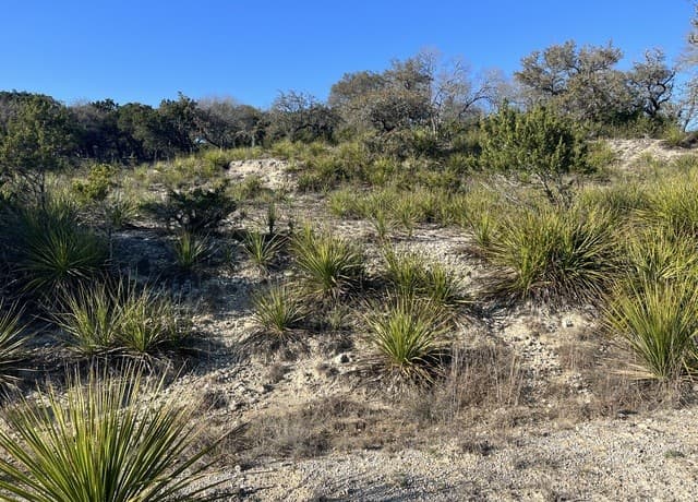 215  Palomino Springs, Bandera, TX 78003 — photo 10