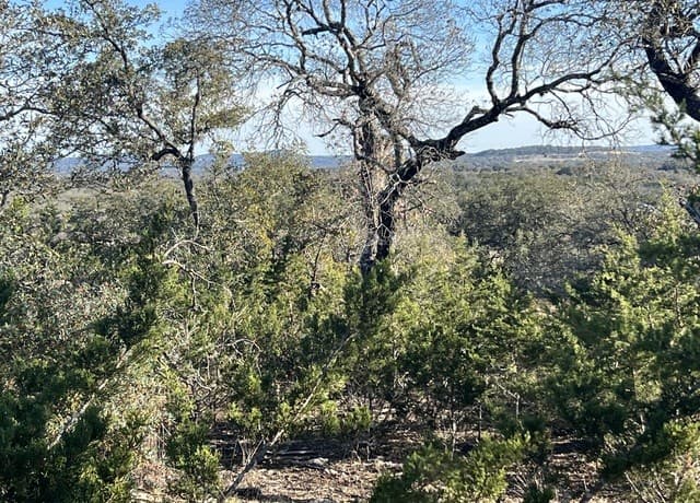215  Palomino Springs, Bandera, TX 78003 — photo 7