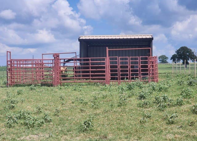 1208  County Road 317, La Vernia, TX 78121 — photo 15