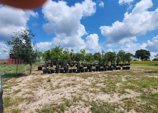 1208  County Road 317, La Vernia, TX 78121 — photo 19
