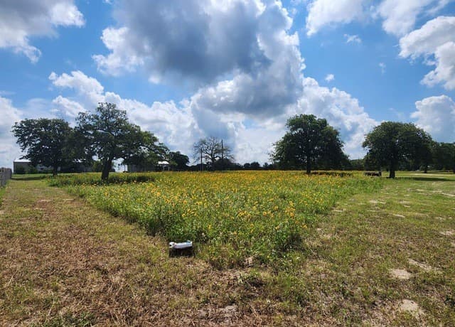 1208  County Road 317, La Vernia, TX 78121 — photo 22