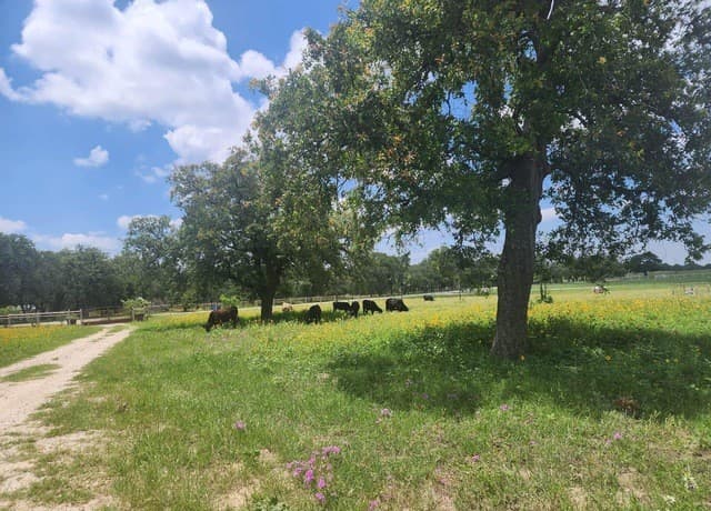 1208  County Road 317, La Vernia, TX 78121 — photo 9