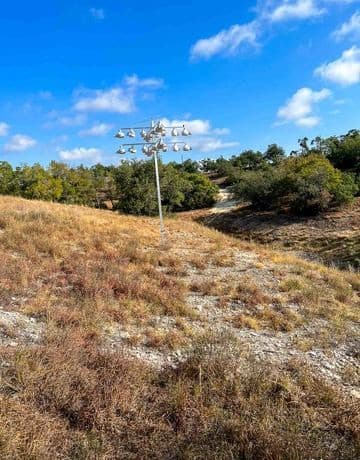 36  Twisted Oak Trail