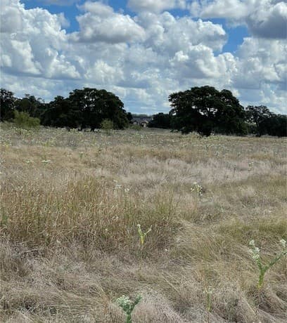 TBD Martingale Trail