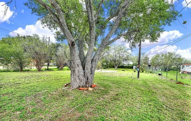 2315  Hwy 181, Floresville, TX 78114 — photo 3