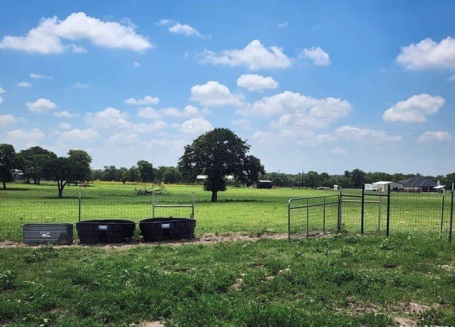 233  Triple Bend Dr, La Vernia, TX 78121 — photo 10