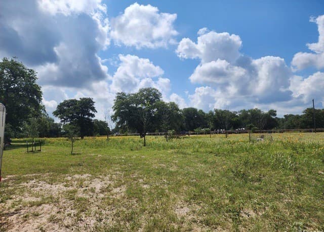 233  Triple Bend Dr, La Vernia, TX 78121 — photo 4