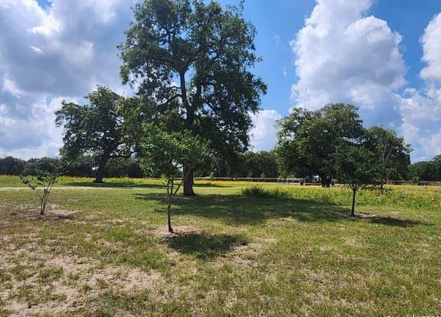 233  Triple Bend Dr, La Vernia, TX 78121 — photo 6