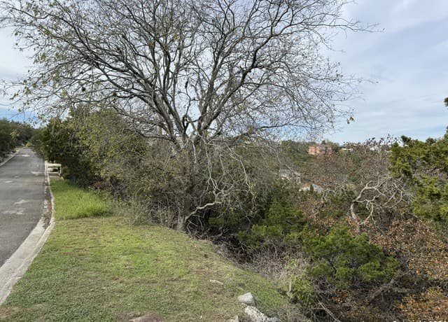 19314  Strauss, San Antonio, TX 78256 — photo 3