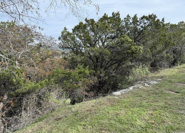 19314  Strauss, San Antonio, TX 78256 — photo 4