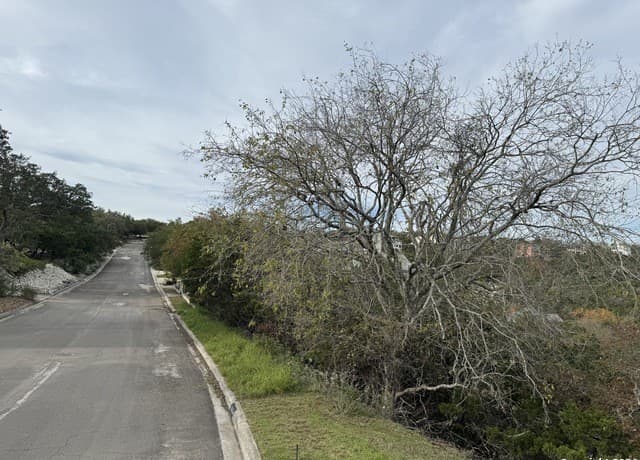19314  Strauss, San Antonio, TX 78256 — photo 5
