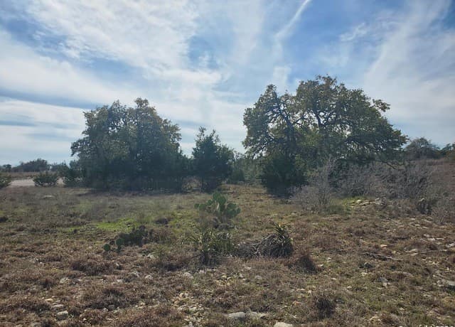 136 W Eli Chandler, Blanco, TX 78606 — photo 10