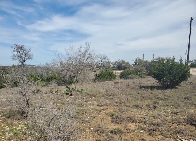 136 W Eli Chandler, Blanco, TX 78606 — photo 7