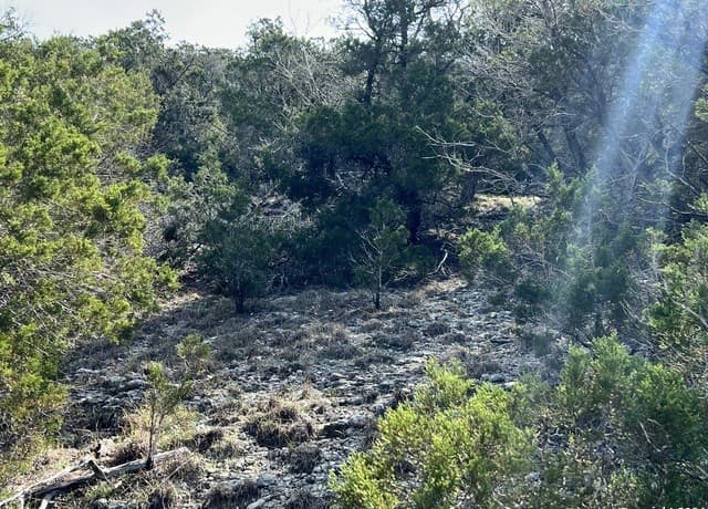 1081  Hillside View Dr, New Braunfels, TX 78132 — photo 15