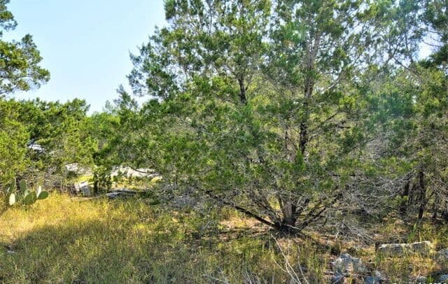 278  Canyon Drive, Bandera, TX 78003 — photo 4