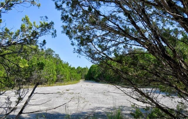278  Canyon Drive, Bandera, TX 78003 — photo 5