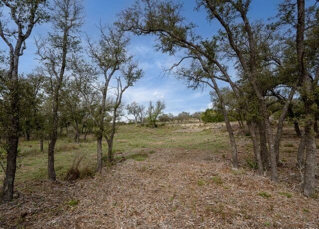 LOT 66  Majestic Hills Drive, Blanco, TX 78606 — photo 10