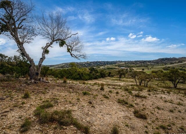 LOT 66  Majestic Hills Drive, Blanco, TX 78606 — photo 23
