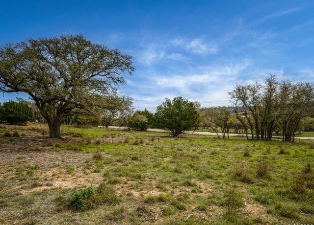 LOT 66  Majestic Hills Drive, Blanco, TX 78606 — photo 3