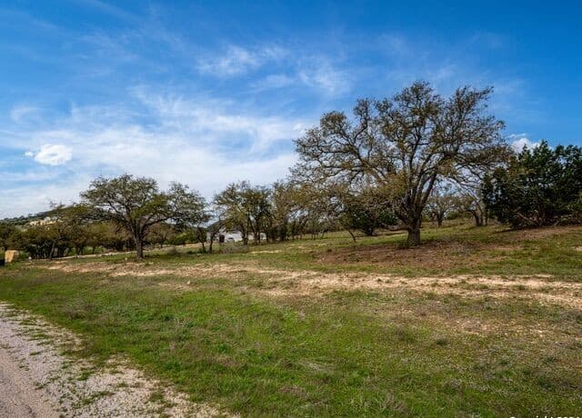 LOT 66  Majestic Hills Drive, Blanco, TX 78606 — photo 4