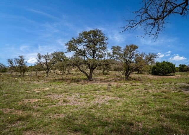LOT 66  Majestic Hills Drive, Blanco, TX 78606 — photo 5