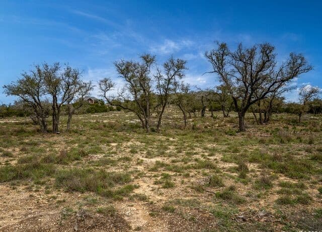 LOT 66  Majestic Hills Drive, Blanco, TX 78606 — photo 9