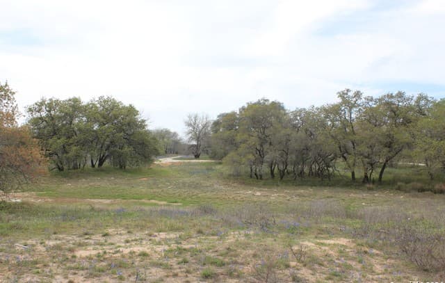 818  Encino Way, Natalia, TX 78059