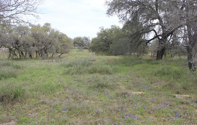 818  Encino Way, Natalia, TX 78059 — photo 10