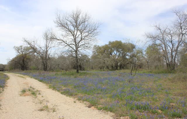 818  Encino Way, Natalia, TX 78059 — photo 12