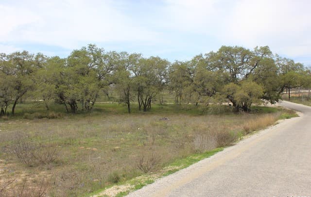 818  Encino Way, Natalia, TX 78059 — photo 6