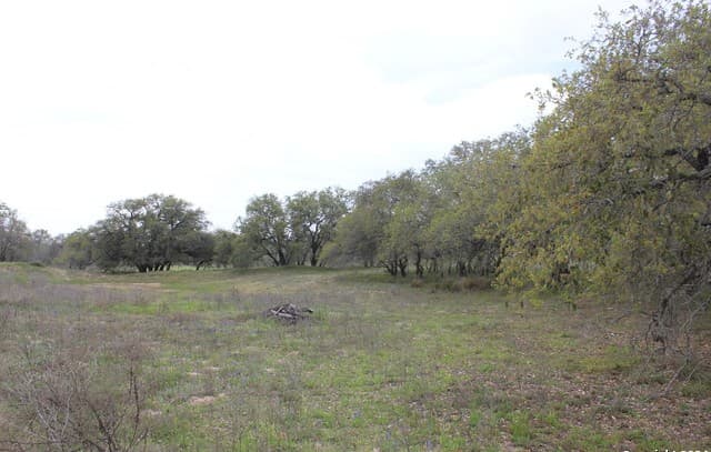 818  Encino Way, Natalia, TX 78059 — photo 7