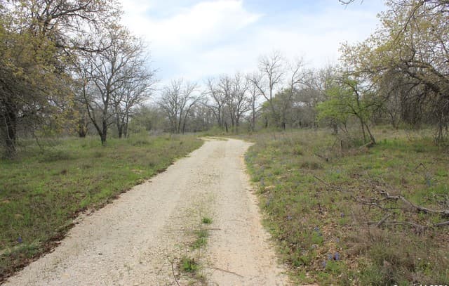 818  Encino Way, Natalia, TX 78059 — photo 9