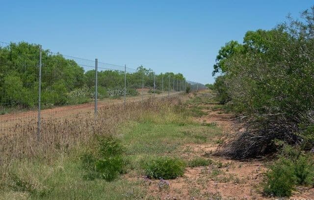 TRACT 9  Fm 1332, Jourdanton, TX 78026 — photo 10