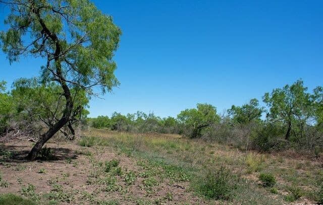 TRACT 9  Fm 1332, Jourdanton, TX 78026 — photo 11