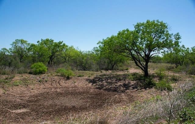 TRACT 9  Fm 1332, Jourdanton, TX 78026 — photo 12