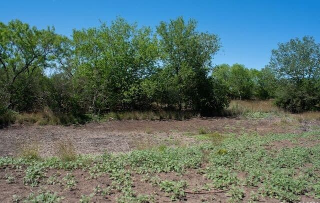 TRACT 9  Fm 1332, Jourdanton, TX 78026 — photo 14
