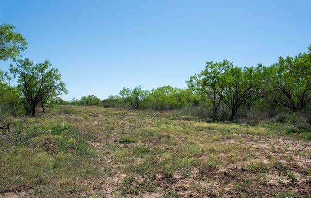 TRACT 9  Fm 1332, Jourdanton, TX 78026 — photo 15