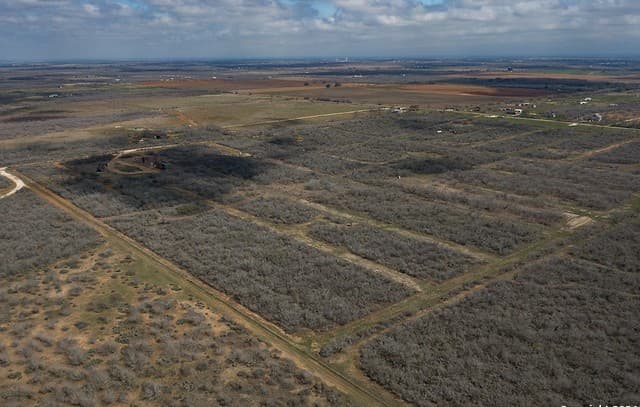 TRACT 9  Fm 1332, Jourdanton, TX 78026 — photo 17