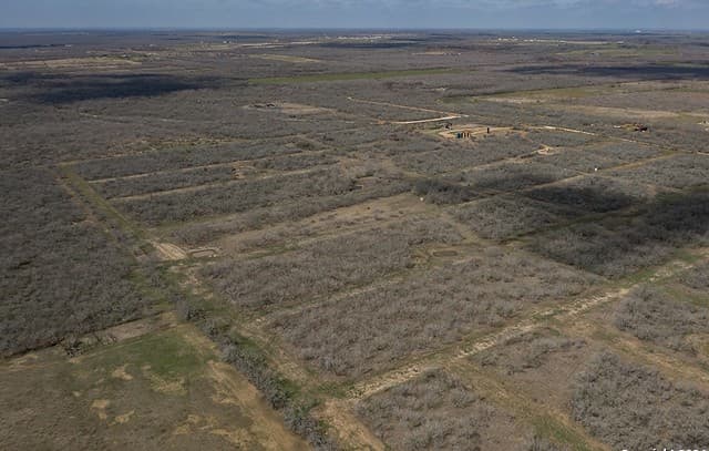 TRACT 9  Fm 1332, Jourdanton, TX 78026 — photo 19