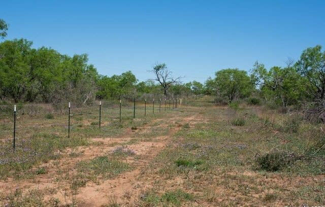TRACT 9  Fm 1332, Jourdanton, TX 78026 — photo 3