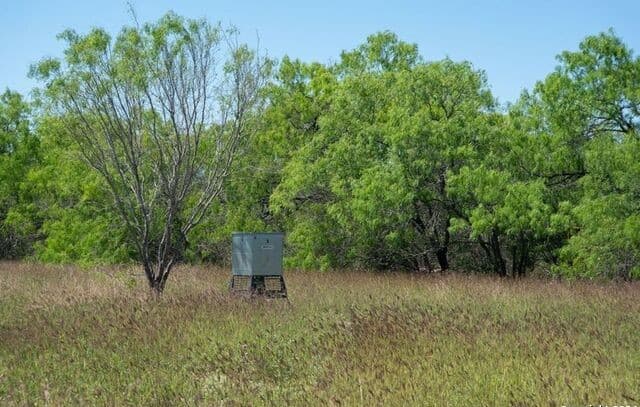 TRACT 9  Fm 1332, Jourdanton, TX 78026 — photo 5