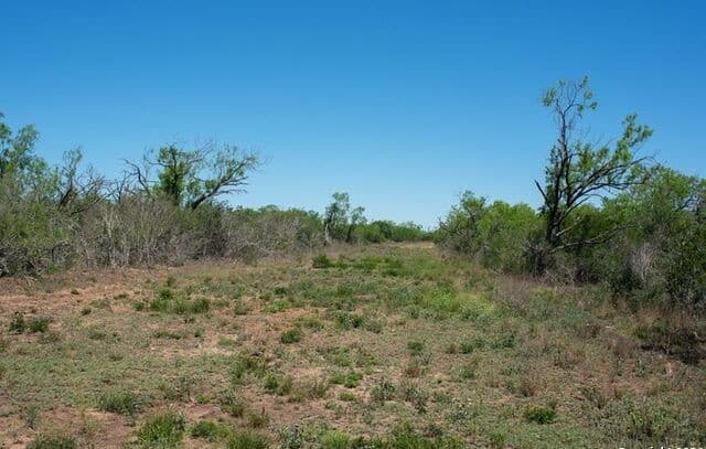 TRACT 9  Fm 1332, Jourdanton, TX 78026 — photo 9