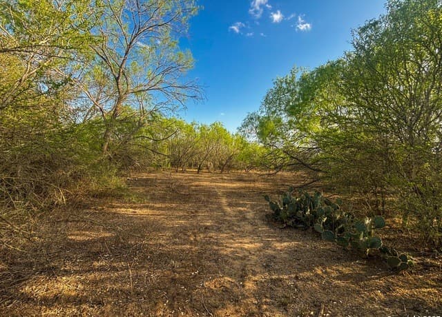 1715 S Loop 1604 E, San Antonio, TX 78264 — photo 10