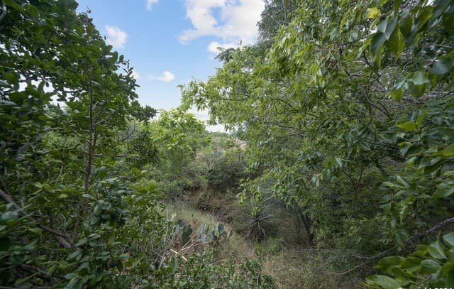7507  New Sulphur Springs Rd, San Antonio, TX 78263 — photo 22
