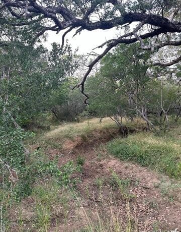 7507  New Sulphur Springs Rd, San Antonio, TX 78263 — photo 5